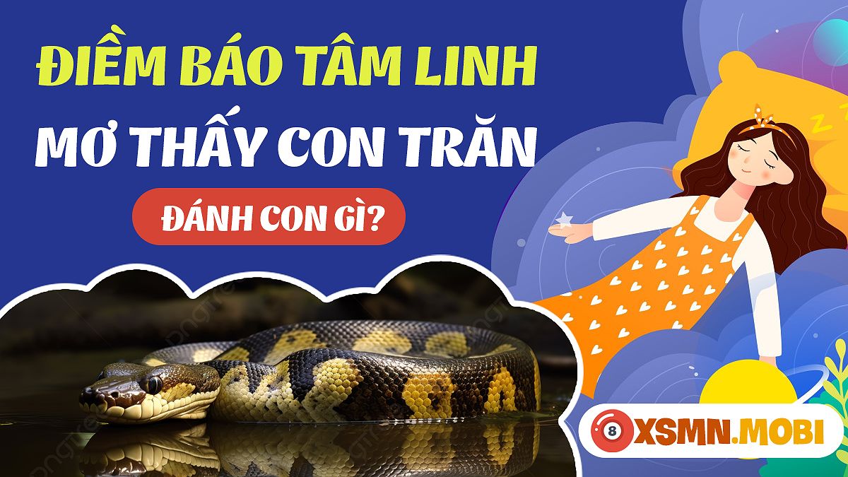 Mơ Thấy Trăn: Giải Mã Giấc Mơ Và Con Số May Mắn